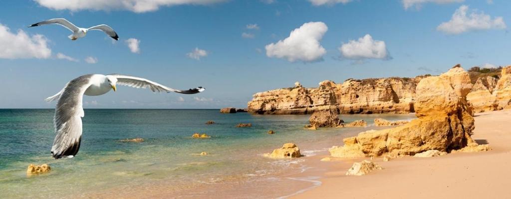 Espacoso Apt T2, Em Olhos Agua Albufeira Dış mekan fotoğraf